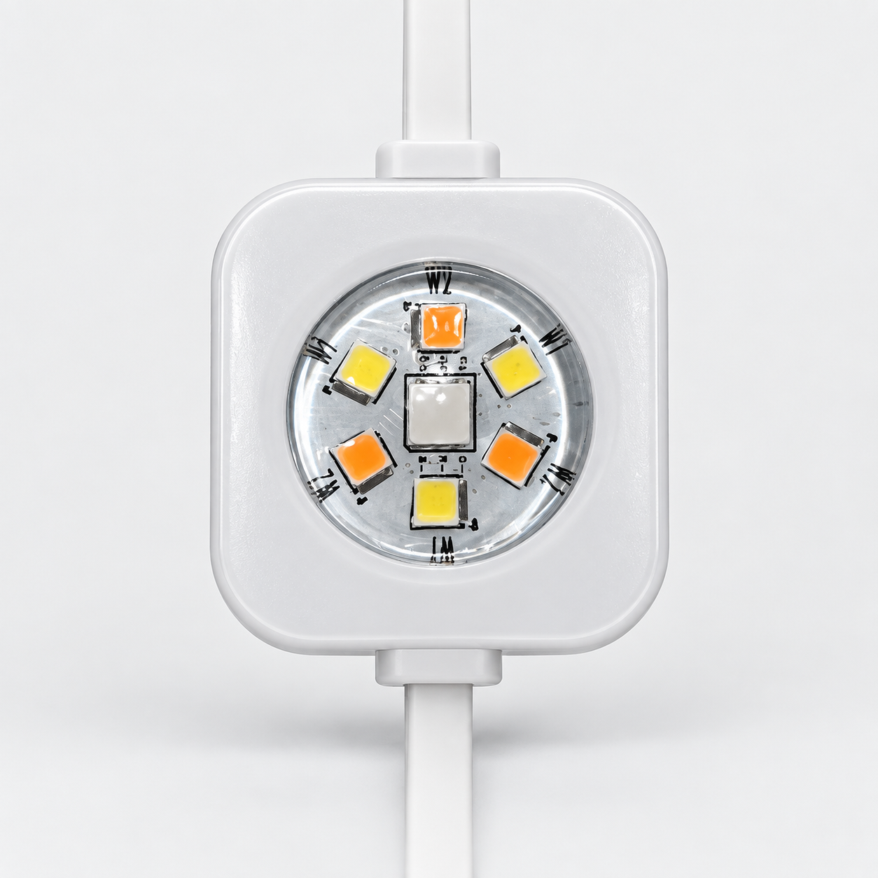 Studio-retouched EverGlow permanent outdoor light puck showing one central LED package surrounded by six dedicated white LEDs